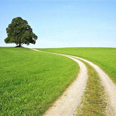 金莎贵宾会体育娱乐APP/手机APP下载截图3