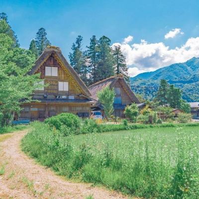 蹦床女神曾表示非他不嫁，却在一年后宣布分手，今29岁仍单身！